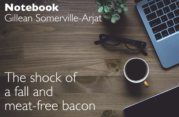 Notebook - Gillean Somerville-Arjat